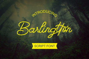 Barlingtton Script: A Handwritten Font That Commands Attention in Digital Campaigns