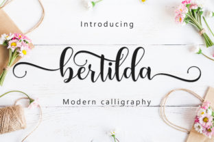 Bertilda Script: A Designer’s Hands-On Review