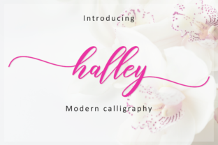 Halley Script: A Light Handwritten Font That Elevates Web Design