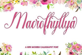 Macrofhyllya Script Adds Handcrafted Personality to Brand Identity