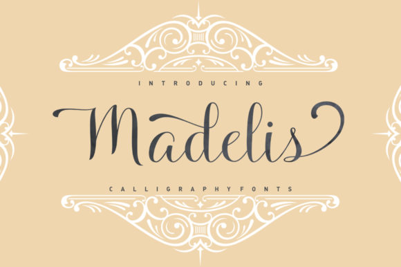 Madelis Script: A Handwritten Font That Makes Campaign Messages Clearer