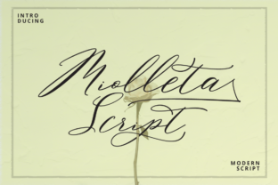 Miolleta Script: A Font for Polished Small Business Branding