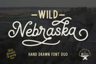 Wild Nebraska: A Designer’s Honest Take on This Script Amp for Real Projects